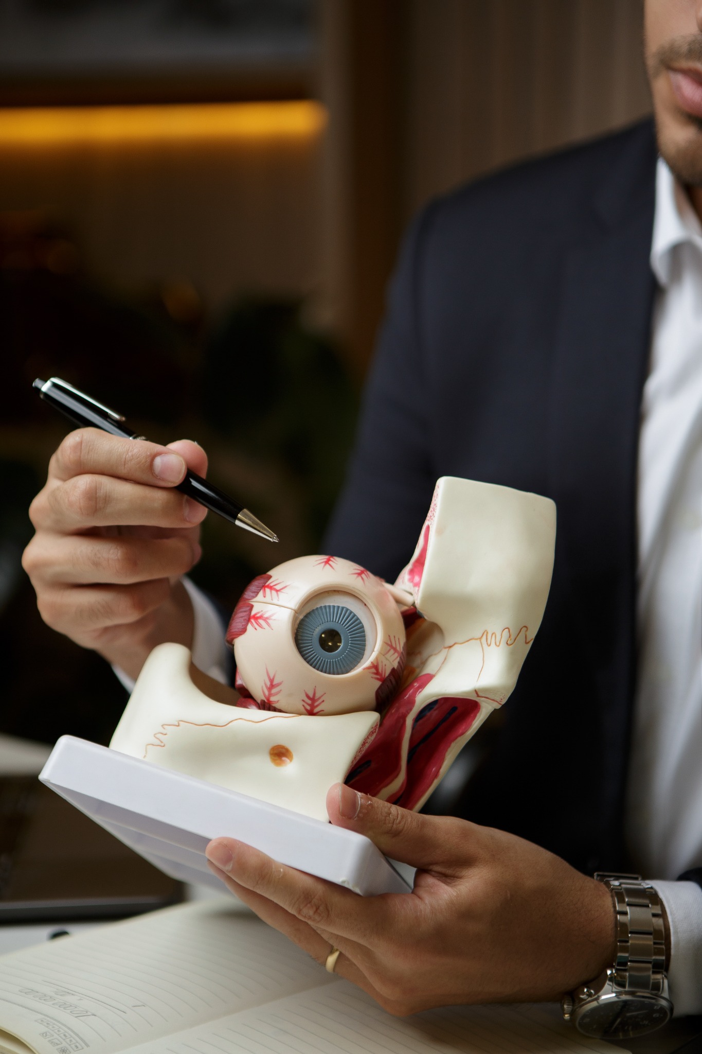 Explicação anatômica sobre saúde ocular